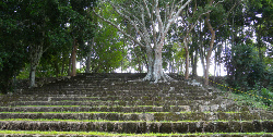 Site maya de Kohunlich, Ruta Becan, www.terre-maya.com